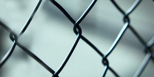 post and rail fencing