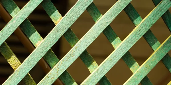post and rail fencing